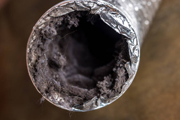 Best Commercial Air Duct Cleaning  in Mount Vernon, MD